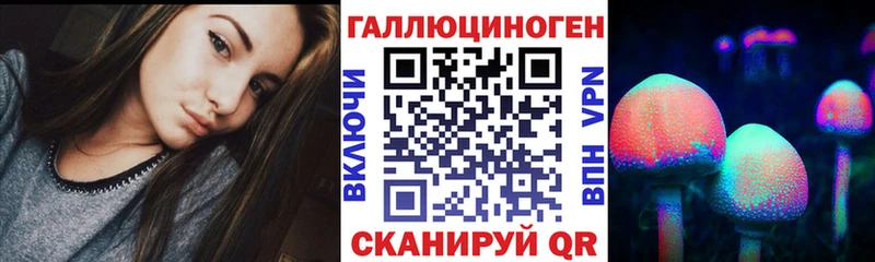 Псилоцибиновые грибы Psilocybe  Купить закладки  Заречный 