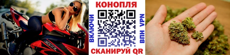 Шишки марихуана Bruce Banner Заречный
